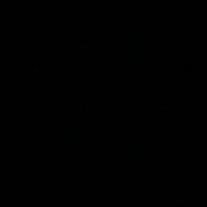 Meet your Posher, Mallory